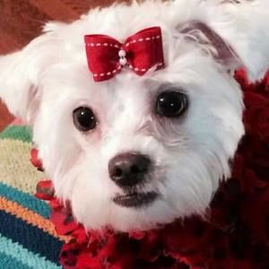 Meet your Posher, Kimberly